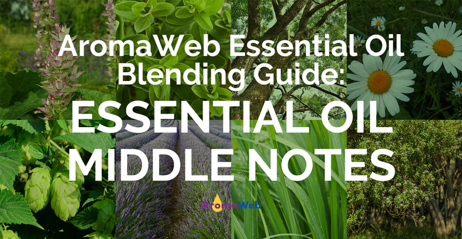 Essential Oil Middle Notes