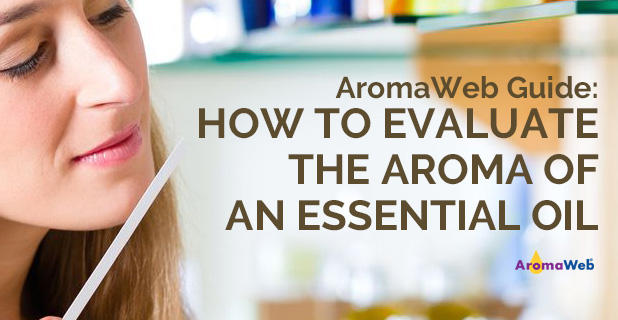 Evaluating the Aroma of an Essential Oil