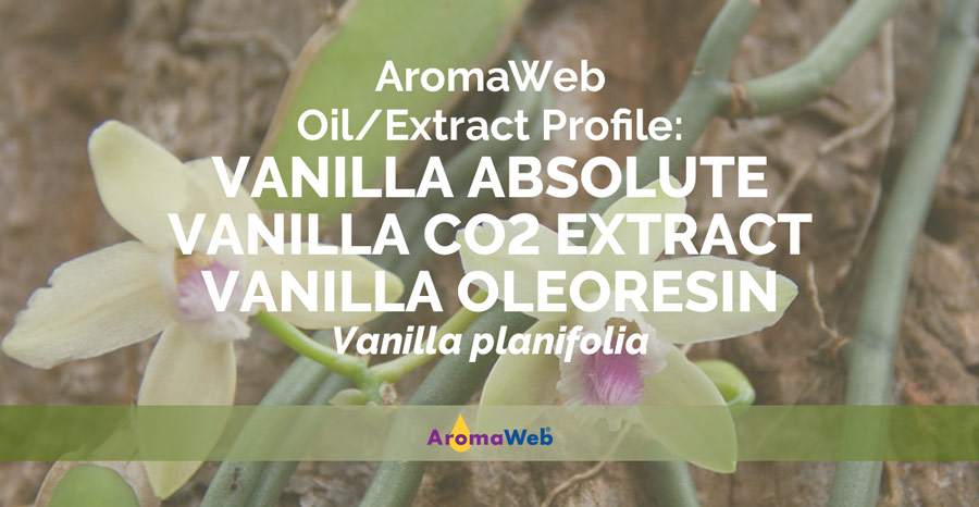 Vanilla Essential Oil (6% Vanillin) - CO2 Extracted (Vanilla Planifolia)