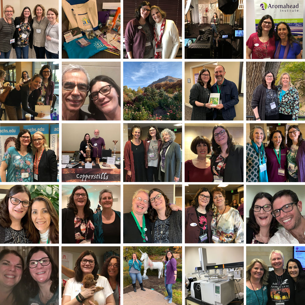 Shown here is a collage of 25 photos taken at the NAHA and AIA educational conferences