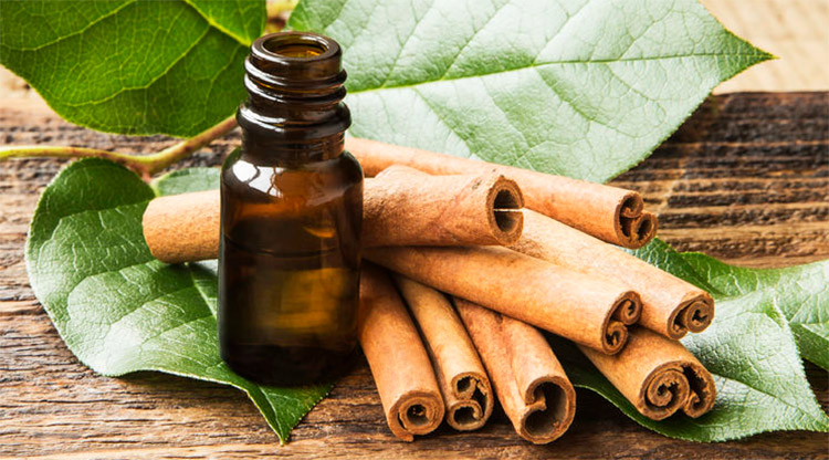 Essential Oil Safety Introduction