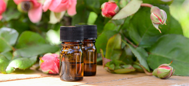 130 Essential Oils: Essential Oil Uses and Benefits | AromaWeb