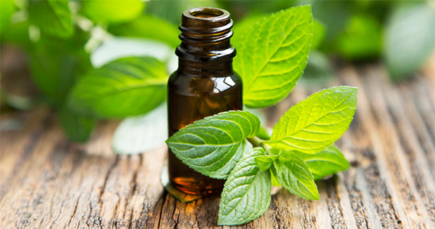 130 Essential Oils: Essential Oil Uses and Benefits | AromaWeb