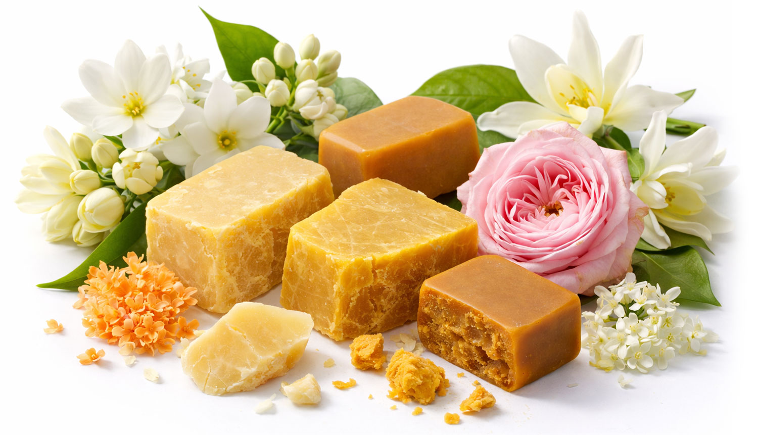 A selection of floral waxes surrounded by fresh botanicals
