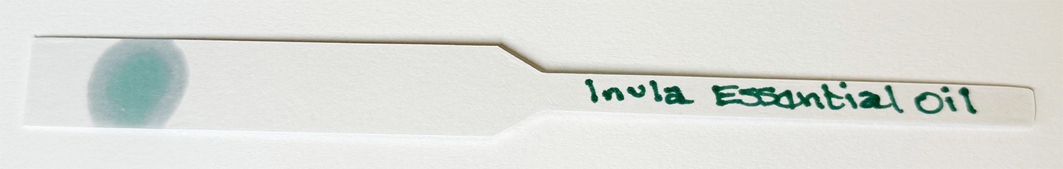 A drop of Inula Essential Oil on a fragrance test strip to demonstrate its color