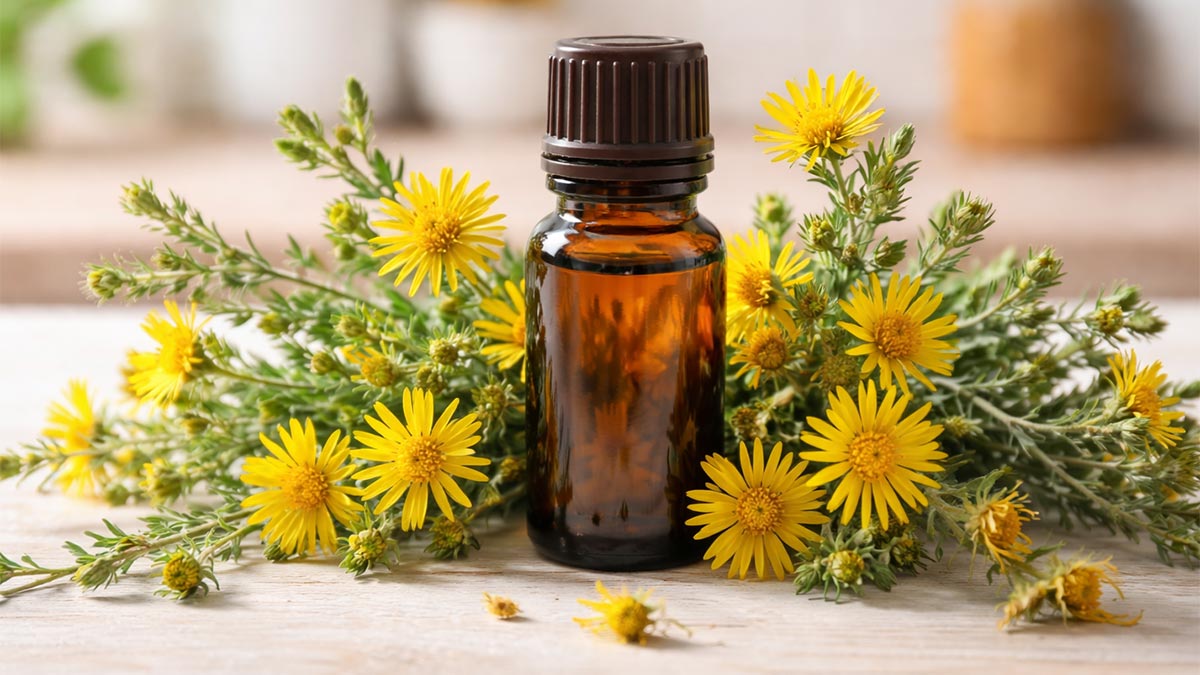 Bottle of Inula Essential Oil surrounded by fresh inula blossoms