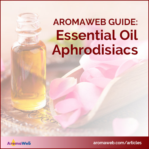 Guide to Essential Oil Aphrodisiacs