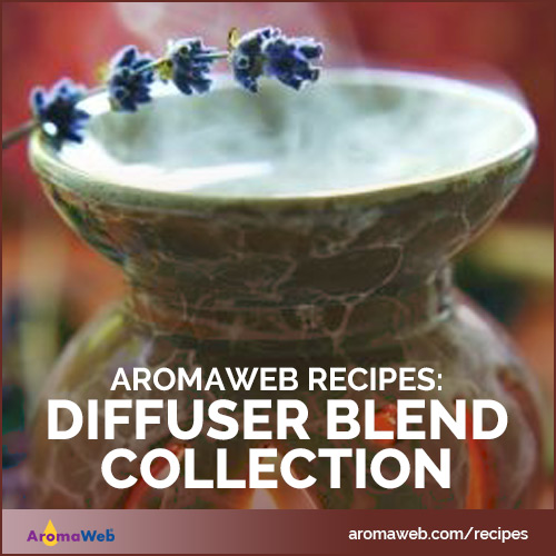 AromaWeb Diffuser Blend Collection