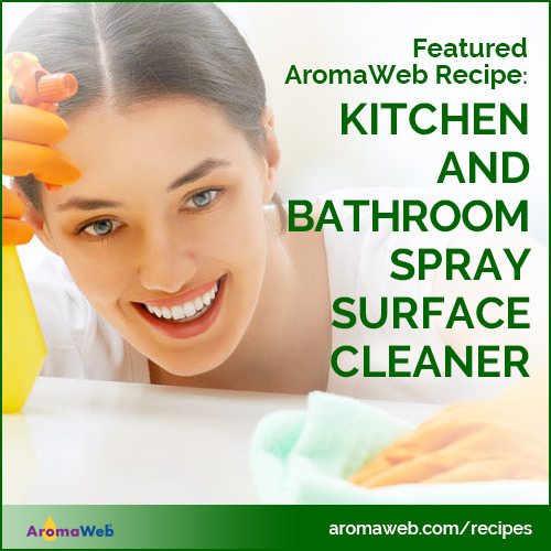 AromaWeb Essential Oil Surface Cleaner Recipe