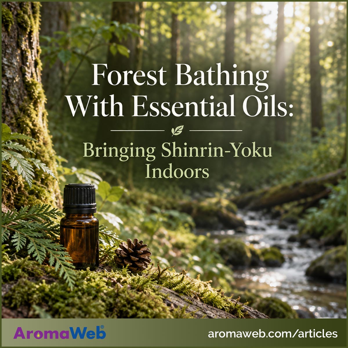 Forest Bathing With Essential Oils: Bringing Shinrin-Yoku Indoors