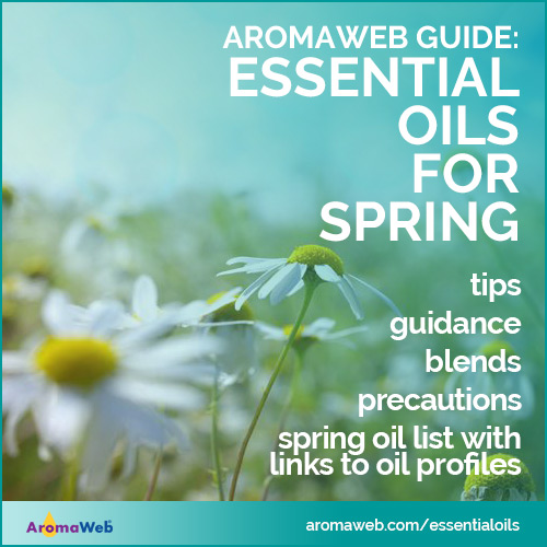 Essential Oils for Spring