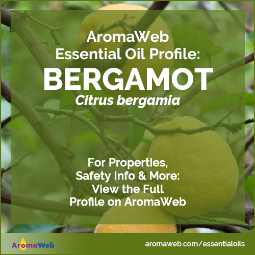 Bergamot Essential Oil Profile