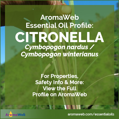 Citronella Essential Oil Profile