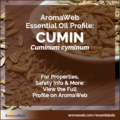 Cumin Essential Oil Profile