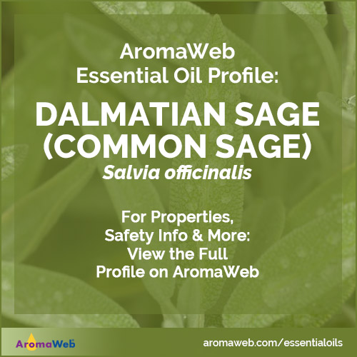 Dalmatian Sage Essential Oil Profile