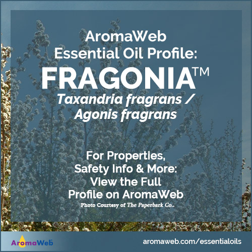Fragonia Essential Oil Profile