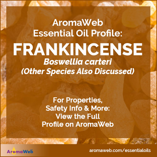 Frankincense Essential Oil Profile
