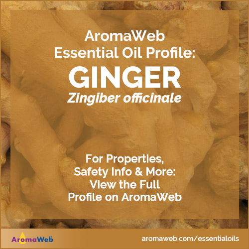Ginger Essential Oil Profile
