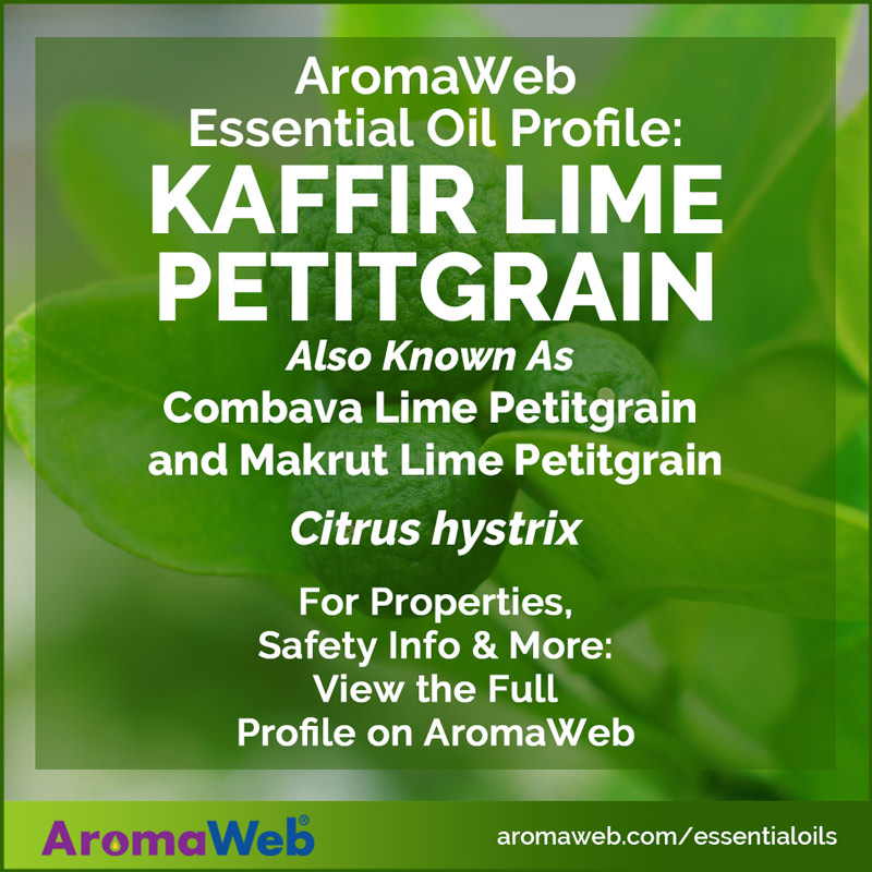 Kaffir Lime Petitgrain Essential Oil Profile