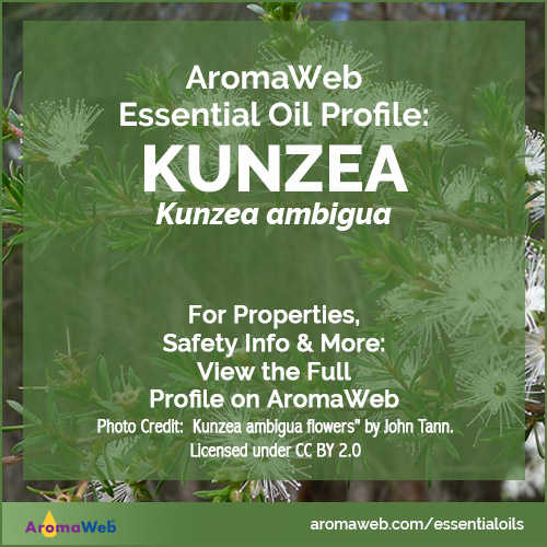 Kunzea Essential Oil Profile