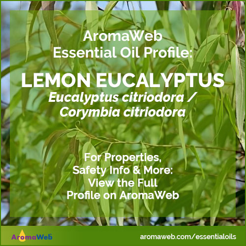 Lemon Eucalyptus Essential Oil Profile