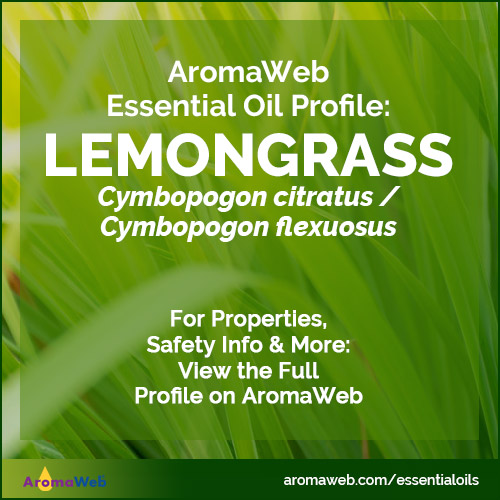 Lemongrass Essential Oil Profile