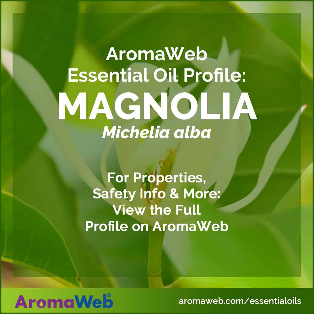 Magnolia Essential Oil Profile