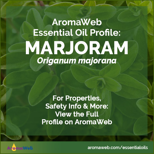 Marjoram Essential Oil Profile