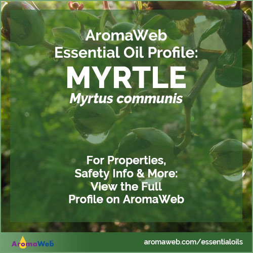 Myrtle Essential Oil Profile
