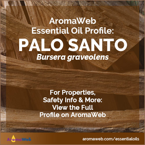 Palo Santo Essential Oil Profile