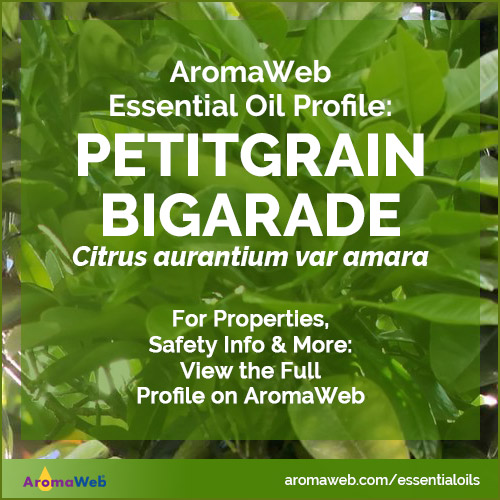 Petitgrain Essential Oil Profile