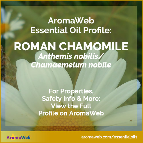 Roman Chamomile Essential Oil Profile