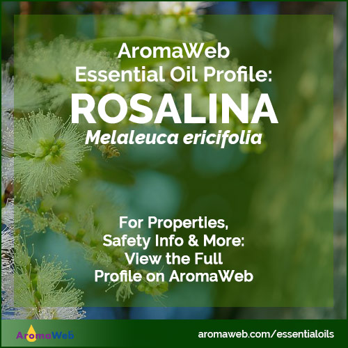 Rosalina Essential Oil Profile