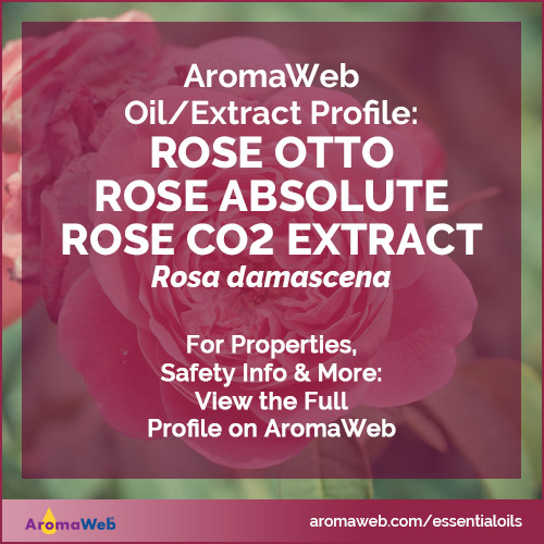 Rose Absolute and Rose Otto Profile