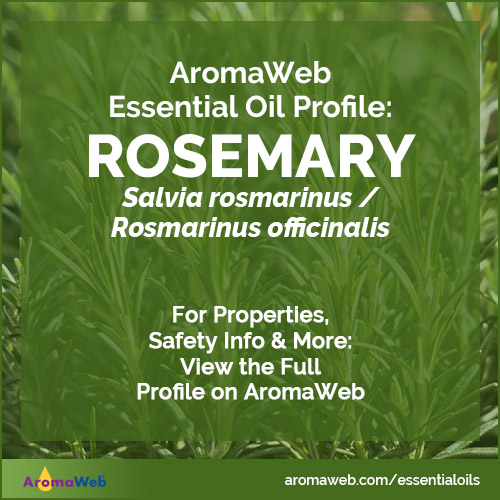 Rosemary Essential Oil Profile