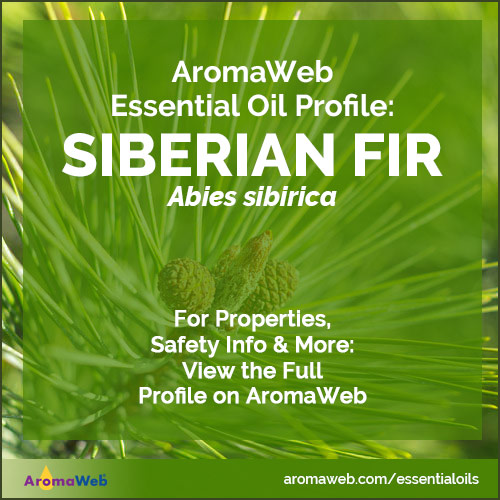 Siberian Fir Essential Oil