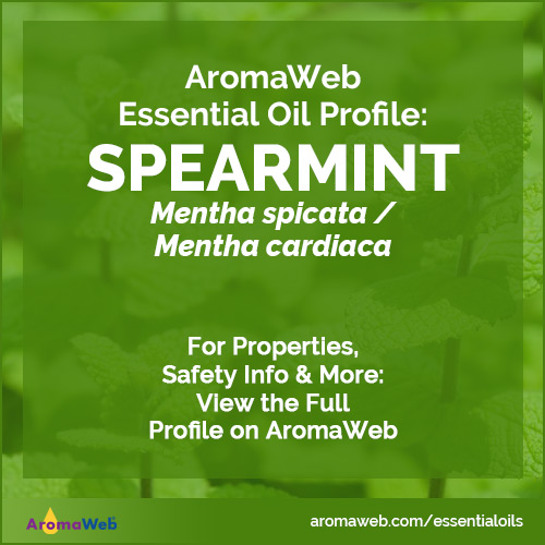 Spearmint Essential Oil Profile