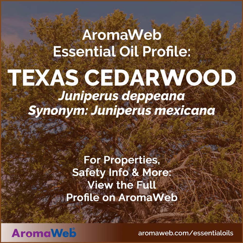 Texas Cedarwood Essential Oil Profile