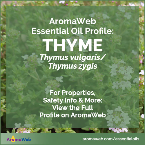 Thyme Essential Oil Profile