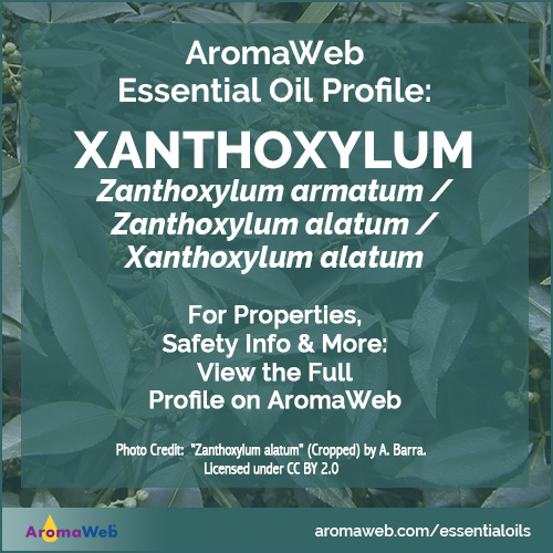 Xanthoxylum Essential Oil Profile