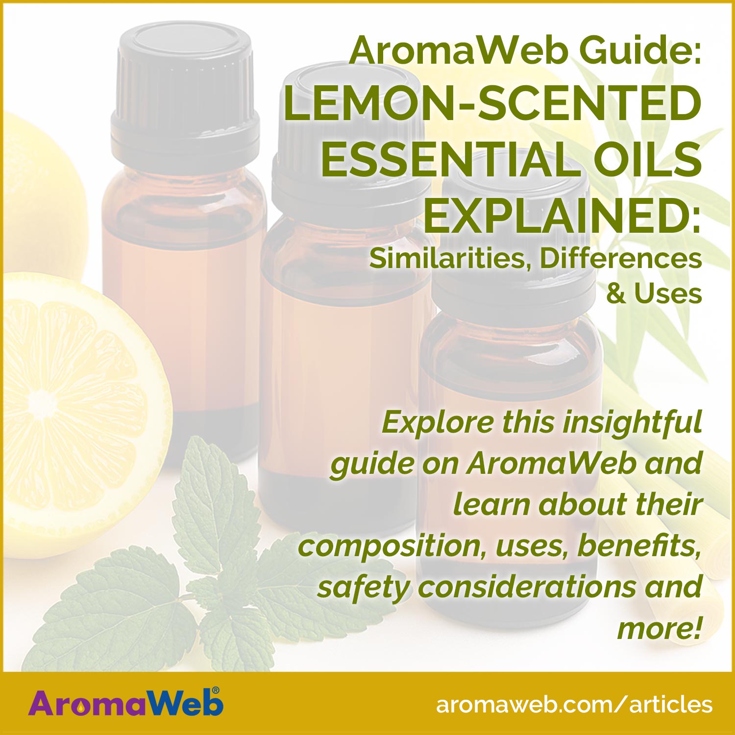 Lemon-Scented Essential Oils Explained: Your Practical Guide to Their Similarities, Differences and Uses